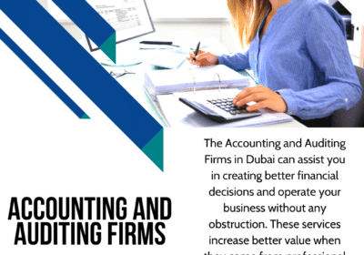 Accounting and auditing services