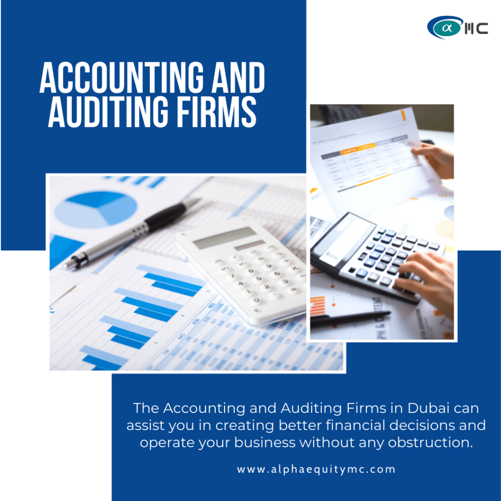 Accounting and auditing firms