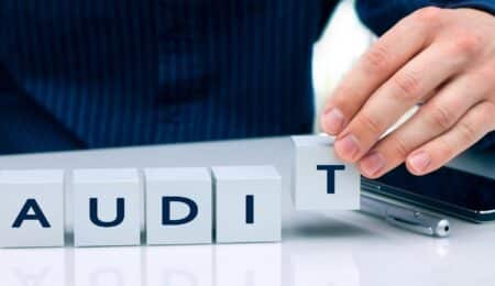 What are the key benefits of professional audit services